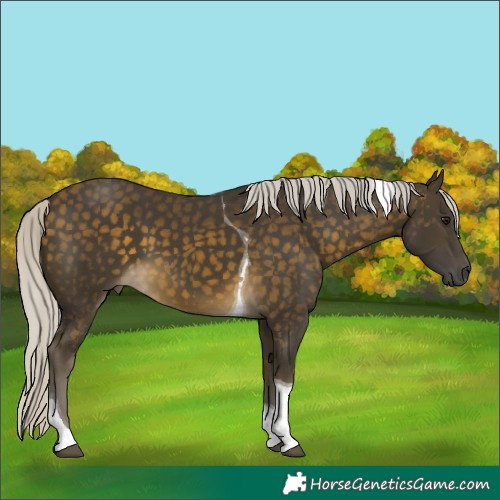 Horse Color:Silver Buckskin Tobiano
