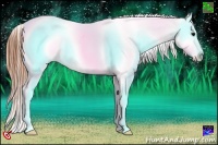Horse Color:Blue Ice Roan Appaloosa