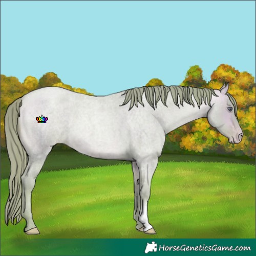 Horse Color:Watercolor Buckskin Chinchilla Roan Pearl