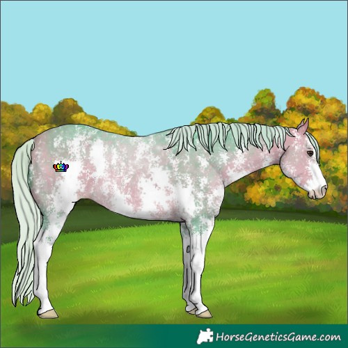 Horse Color:Watercolor Silver Buckskin Sabino 