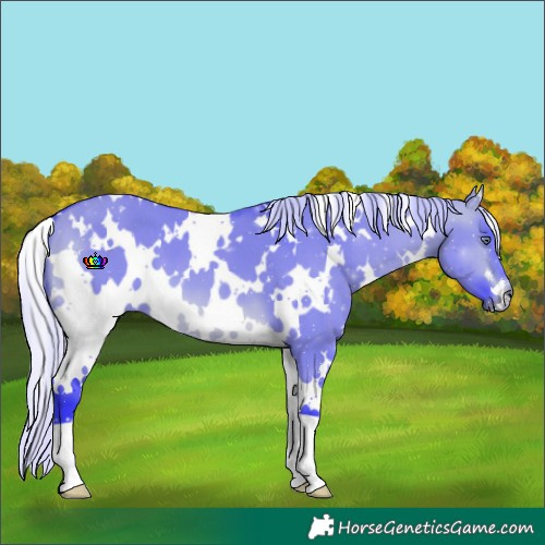 Horse Color:Watercolor White Spotted Silver Brown Chinchilla Dun 