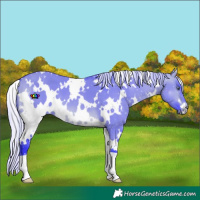 Horse Color:Watercolor White Spotted Silver Brown Chinchilla Dun 