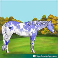 Horse Color:Watercolor White Spotted Silver Brown Chinchilla Dun 