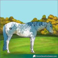Horse Color:Watercolor Brown Tobiano 