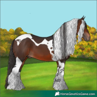 Horse Color:Brown Tobiano 