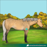 Horse Color:Silver Buckskin Dun Rabicano 