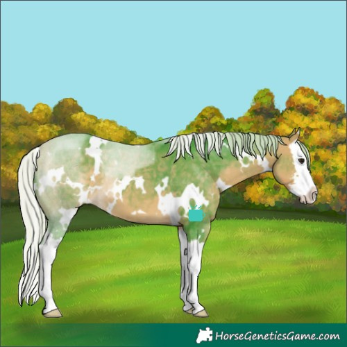 Horse Color:Watercolor White Spotted Silver Buckskin Sabino Splash