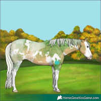 Horse Color:Watercolor White Spotted Silver Buckskin Sabino Splash