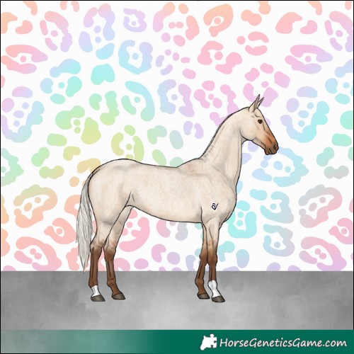 Horse Color:Silver Bay Roan Dun 