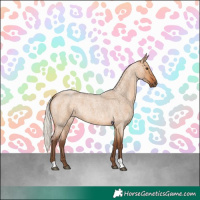 Horse Color:Silver Bay Roan Dun 