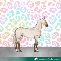 Horse Color:Silver Bay Roan Dun 