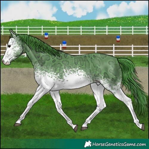Horse Color:Watercolor White Spotted Black Ice 
