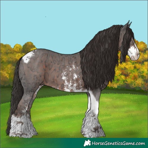 Horse Color:Liver Chestnut Ice Sabino Tobiano 