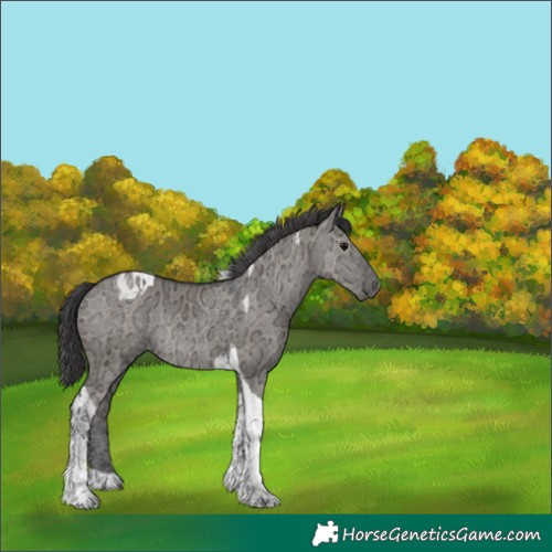 Horse Color:Smoky Grullo Ice Tobiano Rabicano 