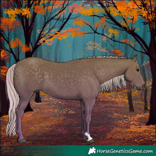 Horse Color:Silver Smoky Black 