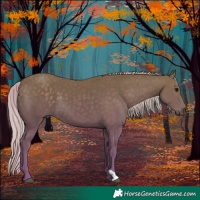 Horse Color:Silver Smoky Black 