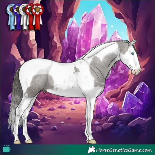 Horse Color:Grullo Splash Tobiano Appaloosa 