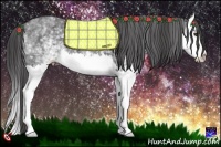 Horse Color:White Spotted Smoky Black Sabino Splash 