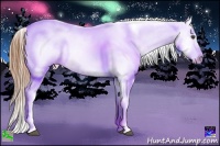 Horse Color:Smoky Grullo Ice Sabino Appaloosa 
