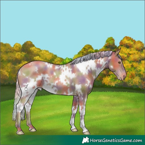 Horse Color:Nacre White Spotted Silver Black Pearl 