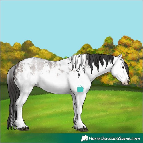 Horse Color:White Spotted Brown 