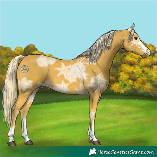 Horse Color:Watercolor Palomino Ice 