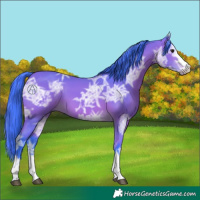 Horse Color:Watercolor Bay Ice 