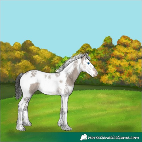 Horse Color:Brown Dun Mushroom Splash Tobiano 