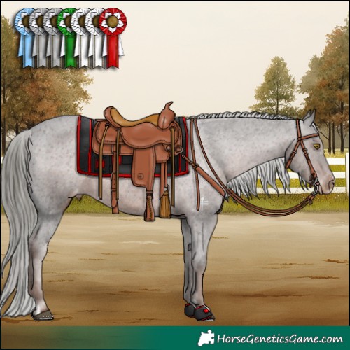 Horse Color:Liver Chestnut Mushroom Appaloosa 