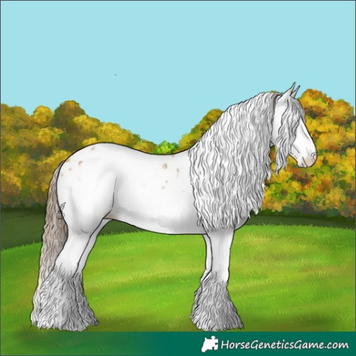 Horse Color:White Spotted Sable Cream Champagne Splash Appaloosa 