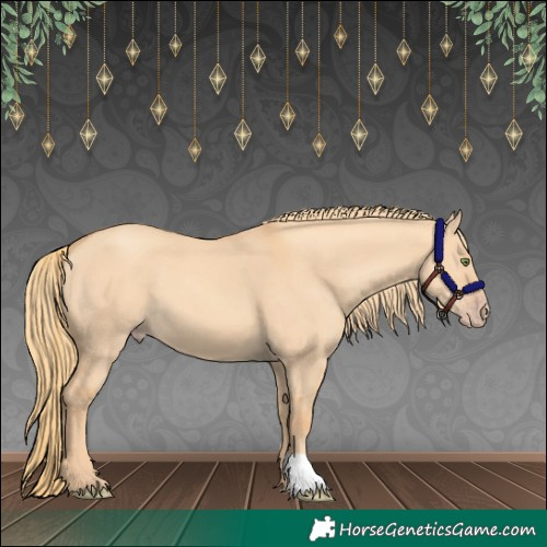 Horse Color:Gold Champagne Dun