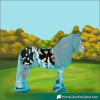 Horse Color:Void Thunderstruck Silver Buckskin Ice Onyx Tobiano Near Leopard 
