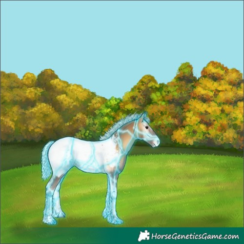 Horse Color:Thunderstruck Silver Buckskin Ice Onyx Tobiano Appaloosa 