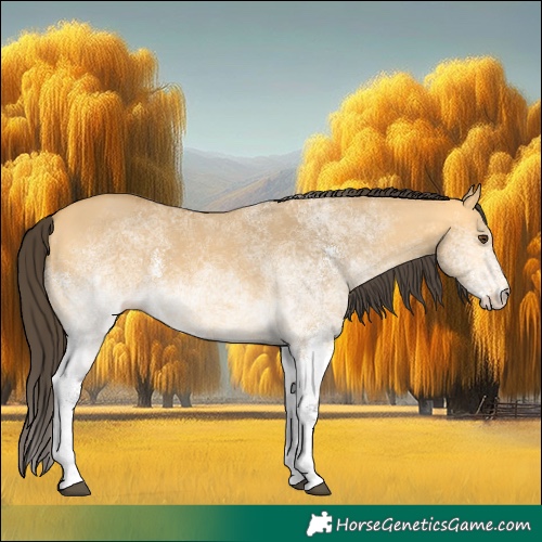 Horse Color:White Spotted Buckskin Dun Rabicano 