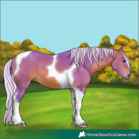 Horse Color:Watercolor Silver Brown Tobiano