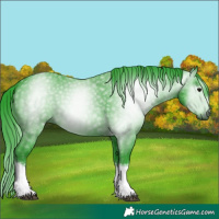 Horse Color:Gray Watercolor Black Tobiano 