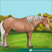 Horse Color:Silver Brown Pearl 