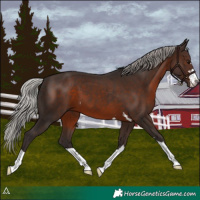 Horse Color:Silver Brown 