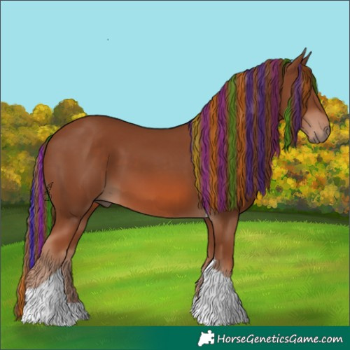 Horse Color:Painted Chestnut Tobiano 