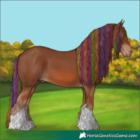 Horse Color:Painted Chestnut Tobiano