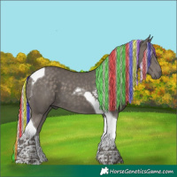 Horse Color:Painted Silver Black Tobiano 
