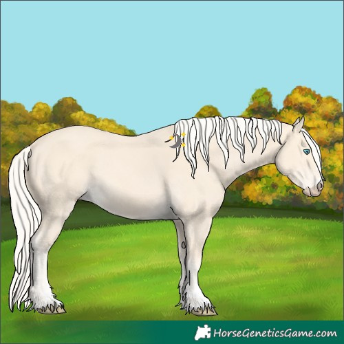 Horse Color:Cremello 