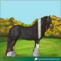 Horse Color:Gray Liver Chestnut Tobiano 
