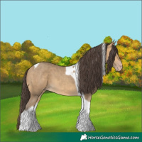 Horse Color:Sable Cream Champagne Tobiano 
