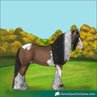 Horse Color:Gray Classic Champagne Splash Tobiano Appaloosa 