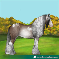 Horse Color:Gray Classic Champagne Splash Tobiano Varnish 