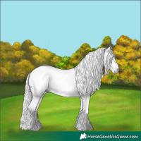 Horse Color:Gray Gold Cream Champagne Tobiano Varnish 