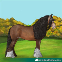 Horse Color:Gray Amber Champagne Tobiano 