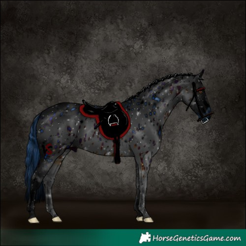 Horse Color:ERROR: UNKNOWN ANOMALY