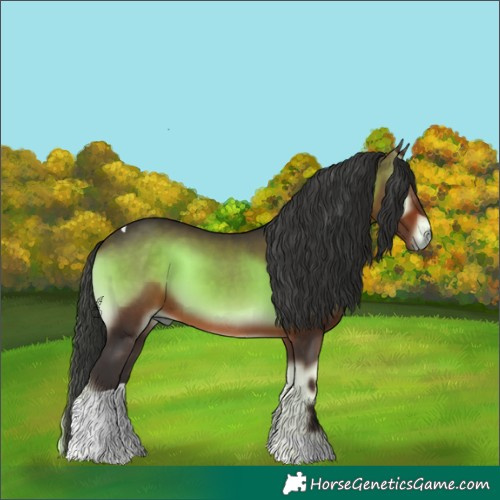 Horse Color:Bay Onyx Tobiano 